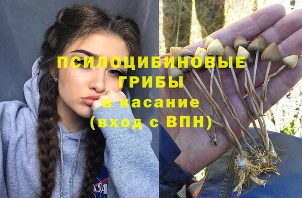 не бодяженный Алексин